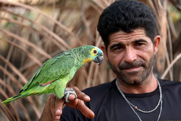 Man with Blaustirnamazone parrot Man with Blaustirnamazone parrot amazona aestiva stock pictures, royalty-free photos & images
