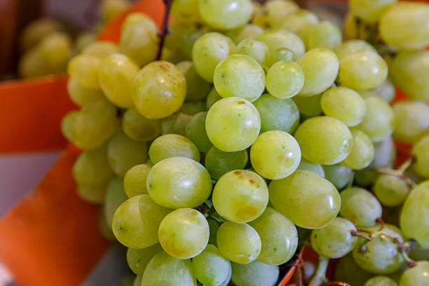 istock White wine grapes in a market 620410508