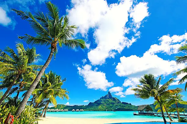Photo of Bora Bora Paradise