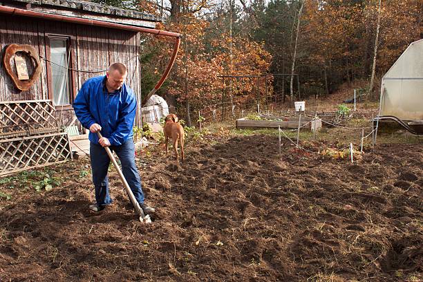 istock Agricultural work. Portrait of a man digging soil with shovel 620410848