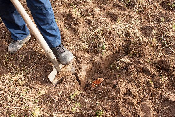 istock Man dig a shovel in the garden. Agricultural work 620411522