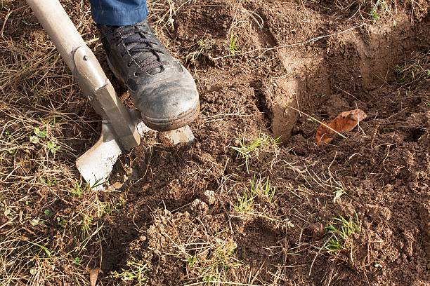 istock Man dig a shovel in the garden. Agricultural work 620411614