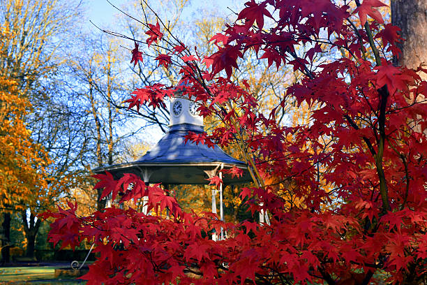 istock Red Leaves and Bandstand 620697234