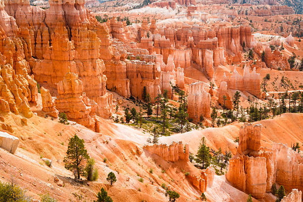 istock Hoodoos in Bryce Canyon National Park 620697928