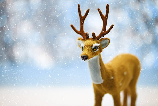 Cute Young Reindeer on a Defocused Winter Landscape Background Cute Young Reindeer on a Defocused Winter Landscape Background rudolph the red nosed reindeer photos stock pictures, royalty-free photos & images
