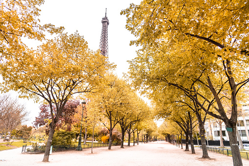 Tour eiffel tower in paris during the fall