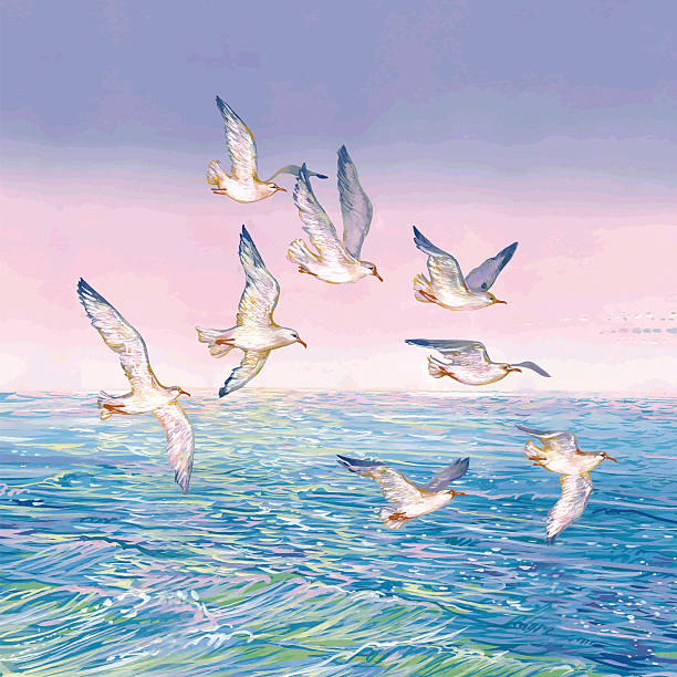 ilustrações, clipart, desenhos animados e ícones de voando gaivota no fundo do mar. - beauty in nature birds nature backgrounds wild animals