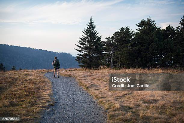 Hiking The Appalachian Trail On Roan Mountain Stock Photo - Download Image Now - Appalachian Trail, Hiking, Adult
