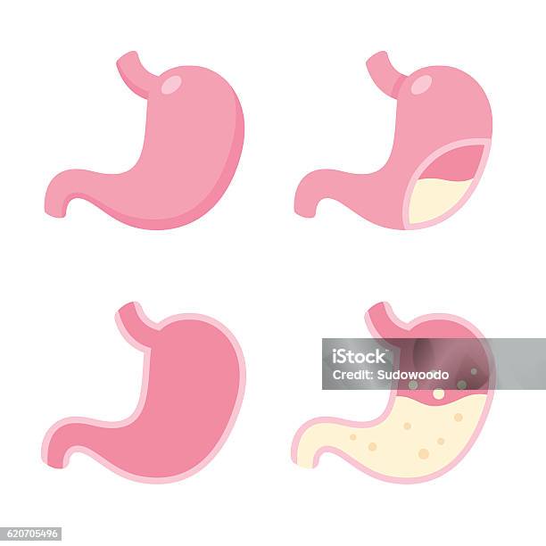 Stomach Icon Set Stock Illustration - Download Image Now - Stomach, Abdomen, Icon Symbol