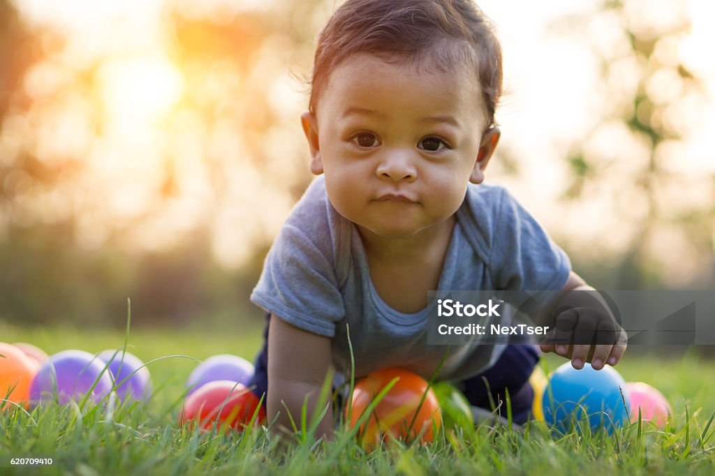 Cute asian baby crawling in the grass and colorful ball Cute asian baby crawling in the green grass and colorful ball - Sunset filter effect Baby - Human Age Stock Photo