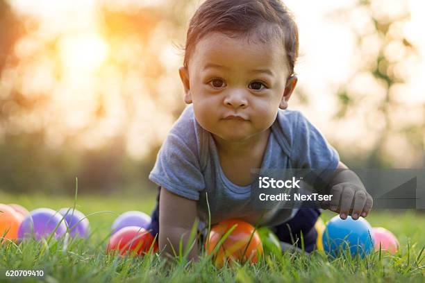 Cute Asian Baby Crawling In The Grass And Colorful Ball Stock Photo - Download Image Now