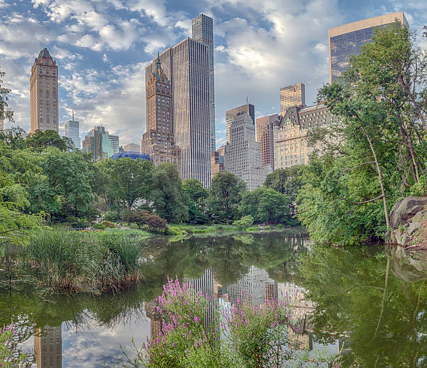 istock Central Park, New York City 620710202