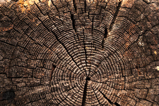 istock texture of dark wood. natural background. 620711348