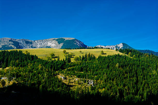 istock Alpine Landscape with Mountains and Forests in Austria 620711830