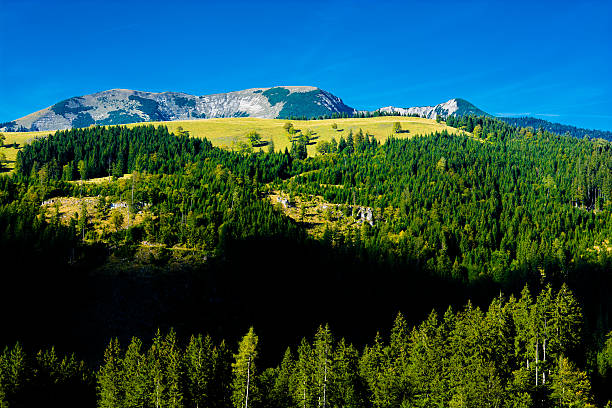 istock Alpine Landscape with Mountains and Forests in Austria 620711888