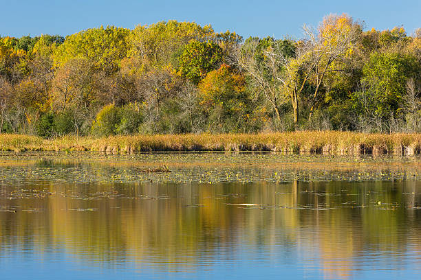 istock Lake Maria In Autumn 620711976