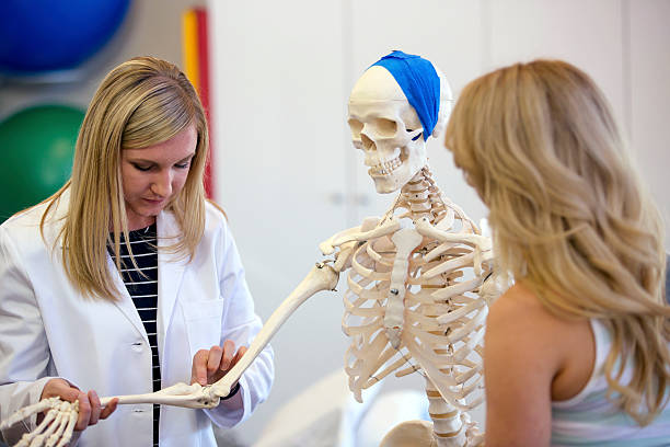 istock Adult female physician using human skeleton to explain to patient 620713032
