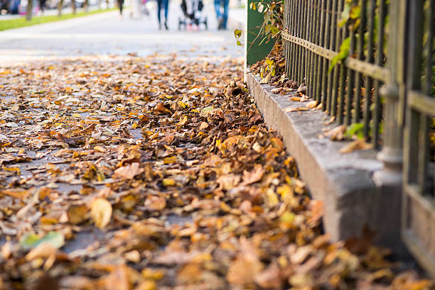 istock Autumn in the city 620713152