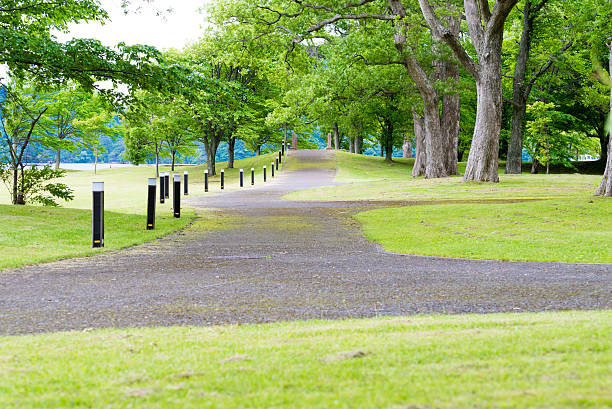 istock Image of the summer resort 620715828