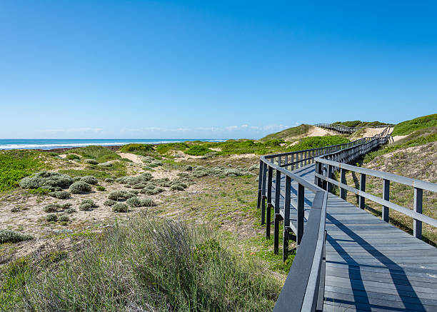 istock Beachwalk in Port Elisabeth, South Africa 620716112