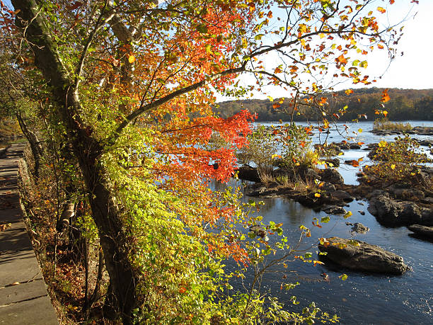 istock Autumn Along the Potomac 620716538