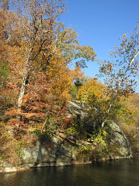istock Pretty Foliage on the C&O Canal 620716716