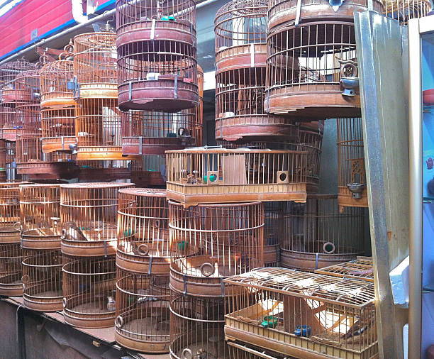 Rows of bronzed metal birdcages hang for sale in a bird and flower market in Shanghai, China. 