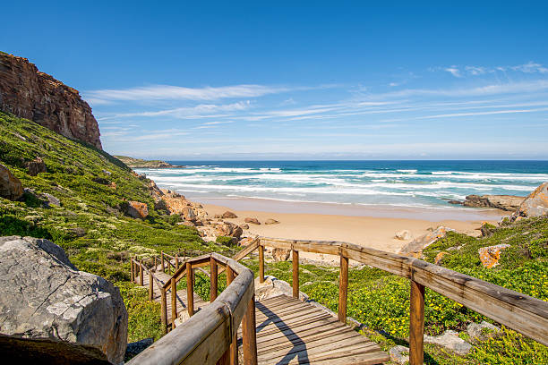 robberg, garden route, south africa - zuid afrika stockfoto's en -beelden