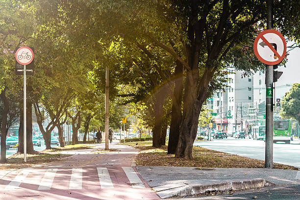 Bike Path in the Streets of Sao Paulo, Brazil (Brasil) Photo of Bike Path in the Streets of Sao Paulo, Brazil (Brasil) avenue photos stock pictures, royalty-free photos & images