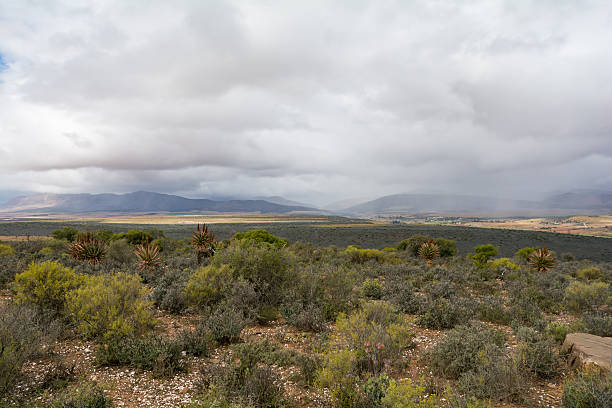istock Kleine Karoo, Outshoorn, South Africa 620720664