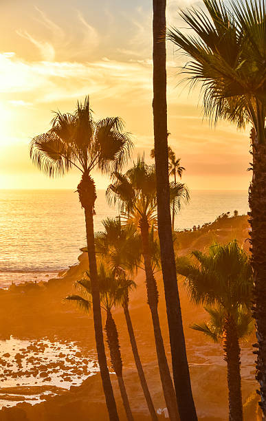 istock Heisler Park Laguna Beach 620721802