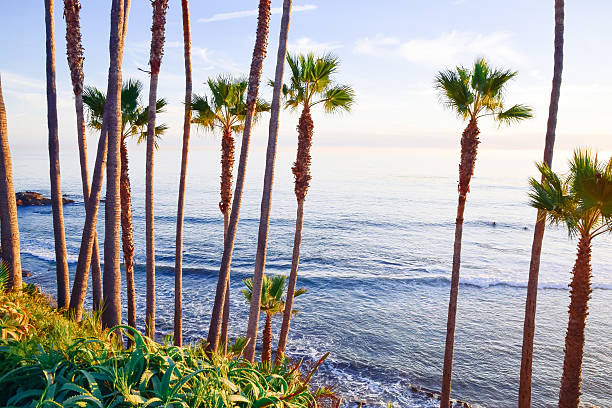 istock Heisler Park Laguna Beach 620721840