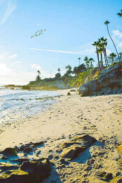 istock Heisler Park Laguna Beach 620721986
