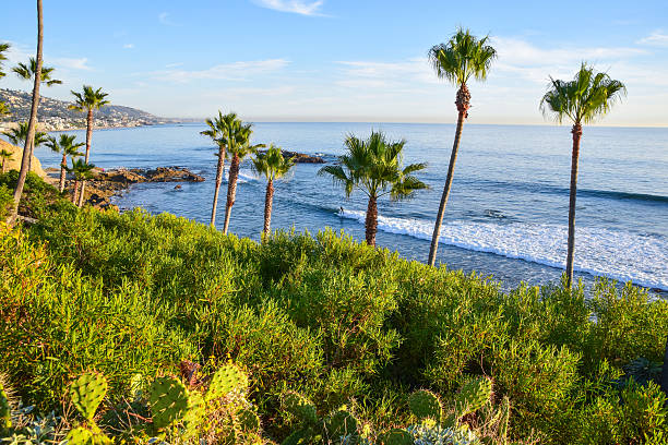 istock Heisler Park Laguna Beach 620722078