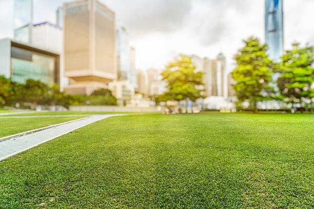 Hong Kong city skyline and green lawn at daytime stock photo
