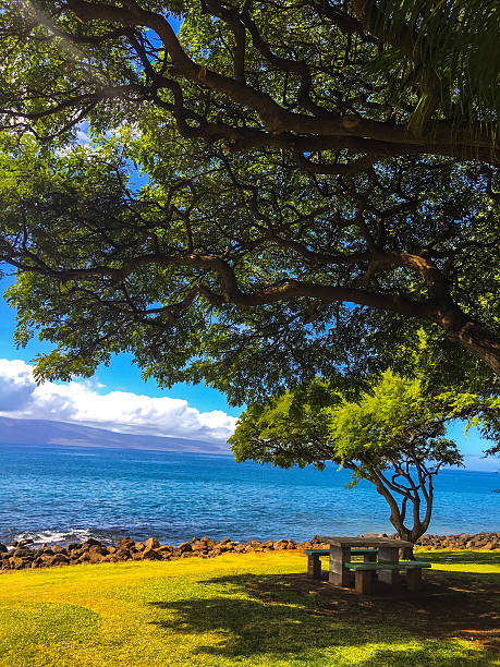 istock Maui beach, Hawaii, USA 620722850