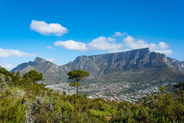 istock Table Mountain in Cape Town South Africa 620724420