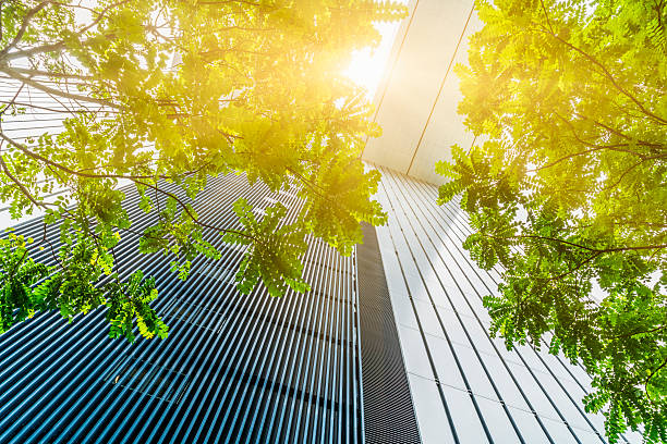 istock modern glass building and green tree 620728658