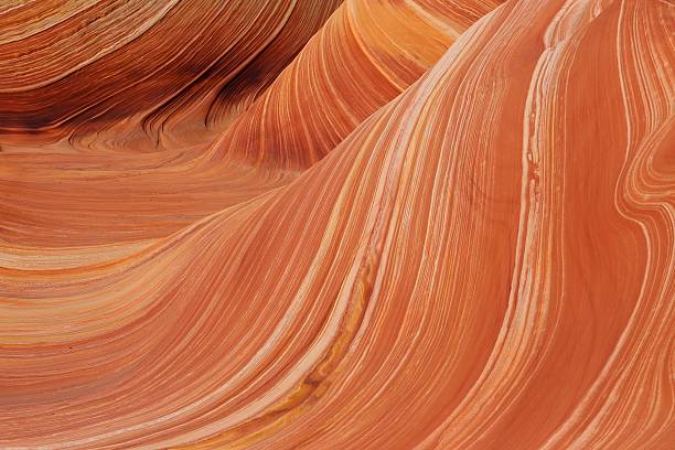istock The Wave, Coyote Buttes in the Vermilion Cliffs 620730490
