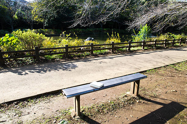 istock Bench in the Park in Autumn 620738060