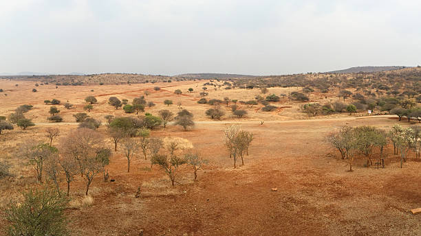 istock South African Veld Region 620738118