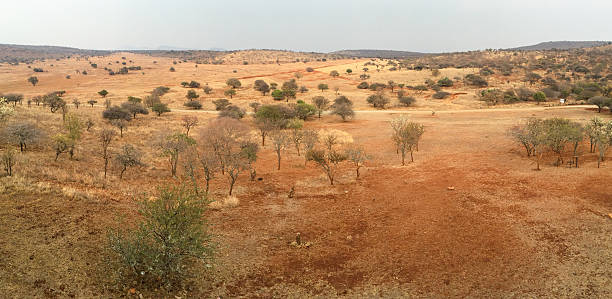 istock South African Veld Region 620738186