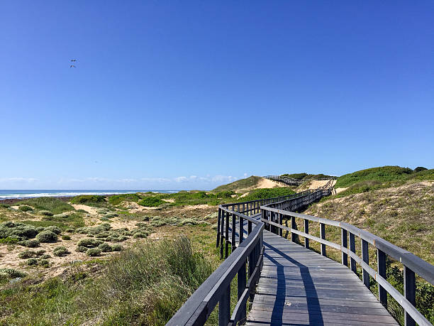 istock Beachwalk in Port Elisabeth, South Africa 620738212