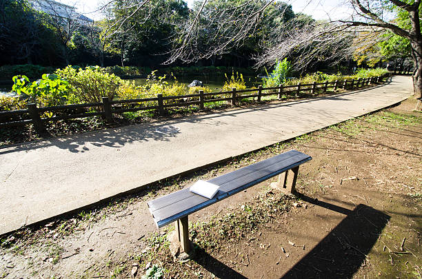 istock Bench in the Park in Autumn 620738414