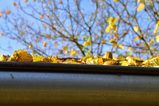istock Fallen leaves in the rain gutter to autumn. 620738852