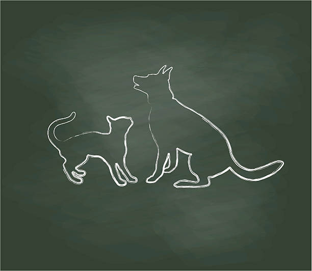 ilustraciones, imágenes clip art, dibujos animados e iconos de stock de pizarra alemana sheppard y gato - german sheppard