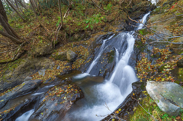 istock Waterfall in late autumn, Sakhalin Island, Russia. 620743404