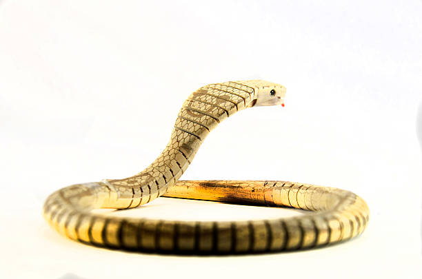 istock King cobra snake toy 620744188