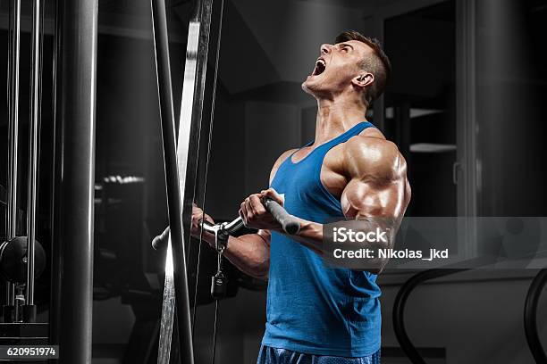 Hombre Musculoso Haciendo Ejercicios En El Gimnasio Haciendo Ejercicios En El Bíceps Foto de stock y más banco de imágenes de Gimnasio