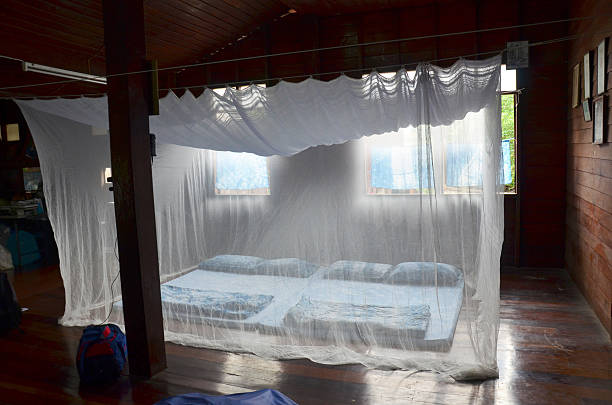 istock Bedroom and indigo sleeping set old style with bed nets 620954746